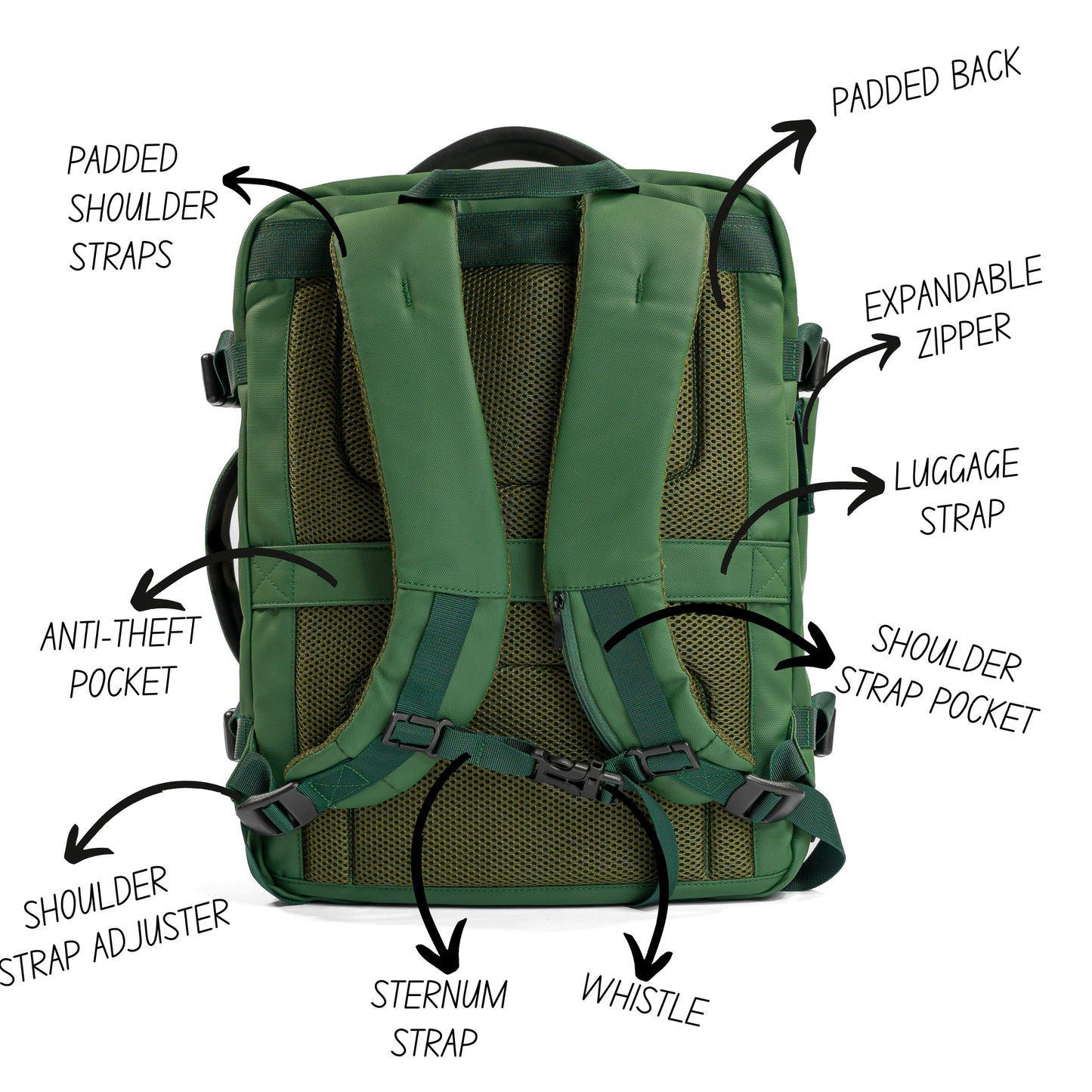 Pack Go and Explore Green Backpack back view description