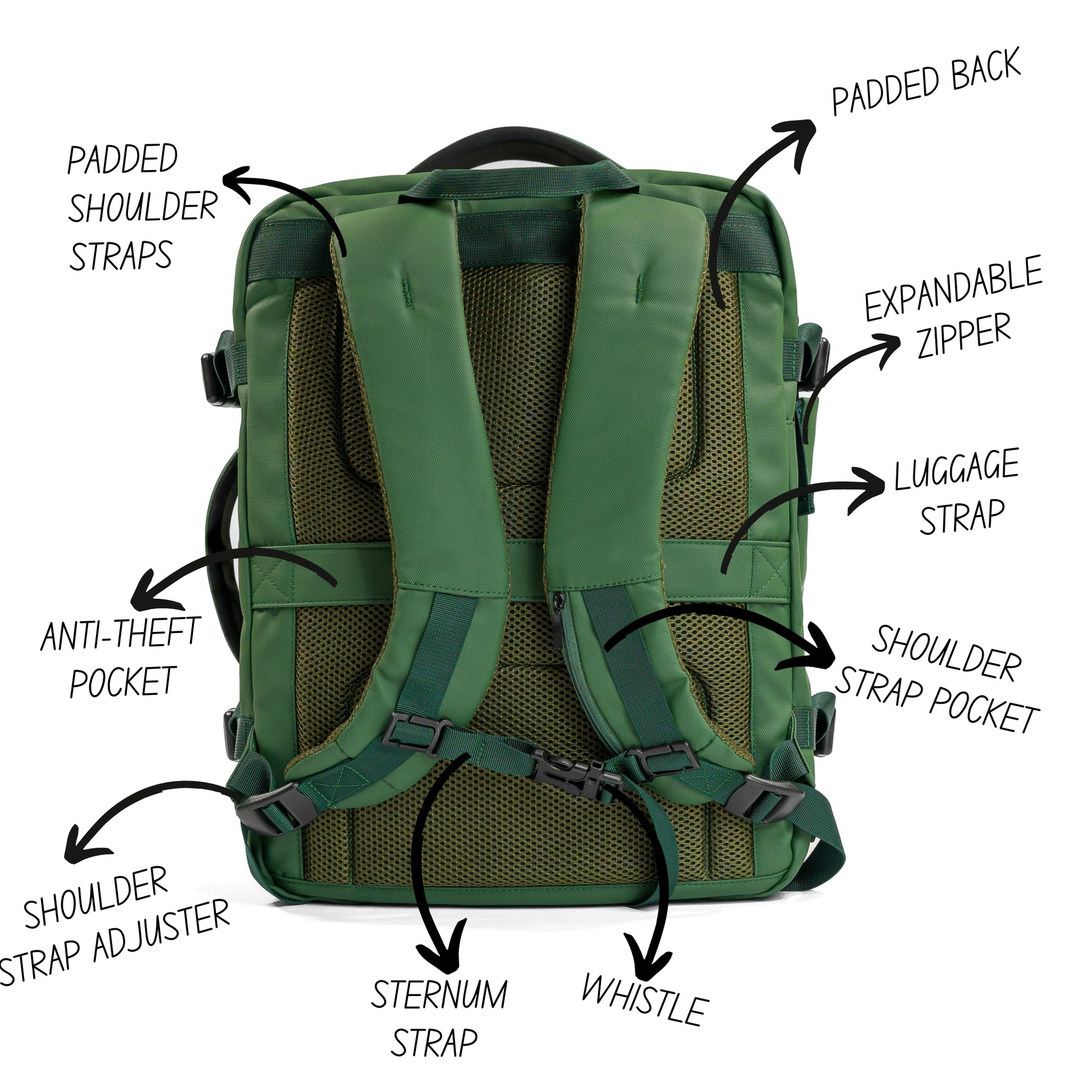 Pack Go and Explore Green Backpack back view description